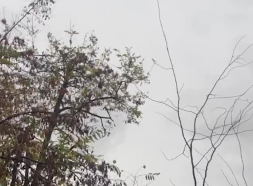 Air defense worked in Sevastopol, occupied Crimea