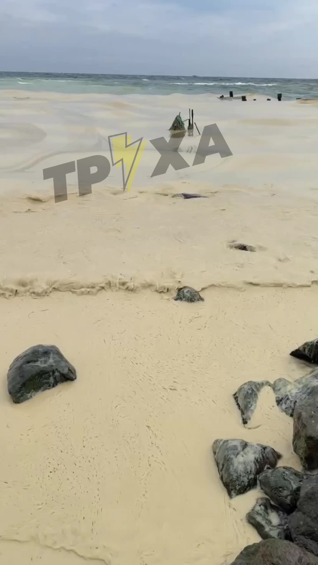 The sea near Pivdenne, Odesa region is polluted with seed oil, as result of Russian strikes at the port infrastructure